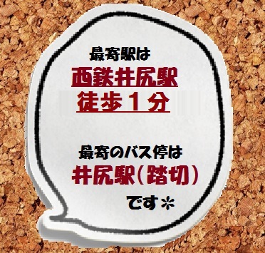 ʐ^